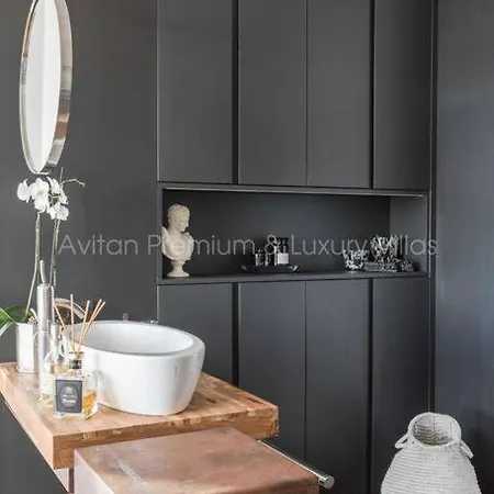 Avitan Gray